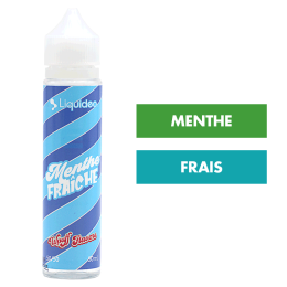 E-liquide Menthe Fraîche 50 mL - Wpuff (Liquideo)