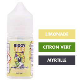 Concentré Limonade Citron Vert Myrtilles Sauvages 30 mL - Biggy Bear