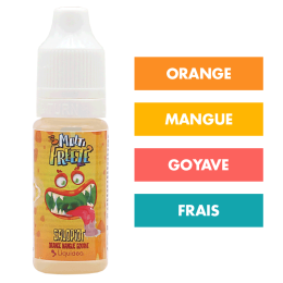 E-liquide Salopiot 10 mL - Multi Freeze (Liquideo)