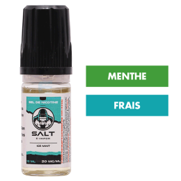 E-liquide Ice Mint 10 mL - Salt E-Vapor (Le French Liquide)