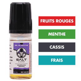 E-liquide Souffle du Dragon 10 mL - Salt E-Vapor (Le French Liquide)