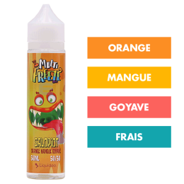 E-liquide Salopiot 50 mL - Multi Freeze (Liquideo)