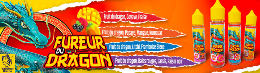 diy fureur du dragon